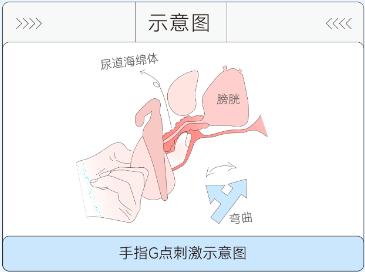 震动棒的玩法教程，全在这篇了（建议收藏）