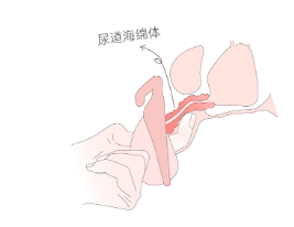 震动棒的玩法教程，全在这篇了（建议收藏）