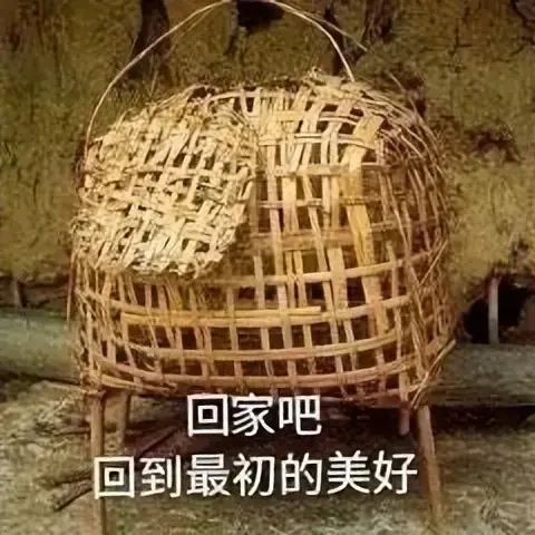 飞机杯很重要嘛？老司机告诉你飞机杯在男人的成长道路上必不可少