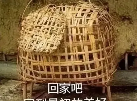 飞机杯很重要嘛？老司机告诉你飞机杯在男人的成长道路上必不可少