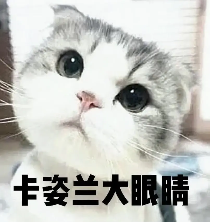 你真的了解飞机杯吗？老司机教你如何正确使用及清洗飞机杯