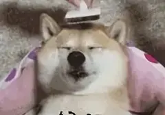 女朋友帮你玩飞机杯是一种什么样的体验？和女友一起玩飞机杯感觉超刺激