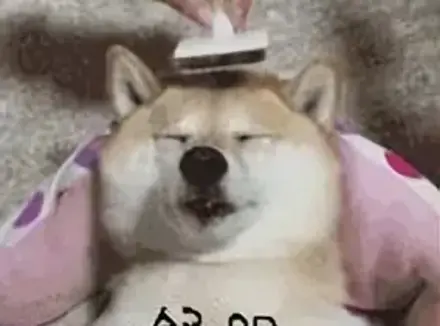 女朋友帮你玩飞机杯是一种什么样的体验？和女友一起玩飞机杯感觉超刺激