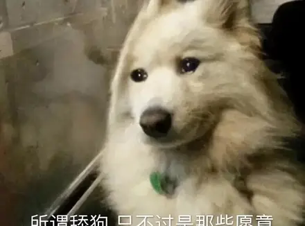 购买飞机杯时需要注意的点有哪些呢？专业老司机告诉你选购飞机杯要点