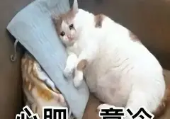 飞机杯是什么？老玩家科普告诉你飞机杯又和真人有什么不同