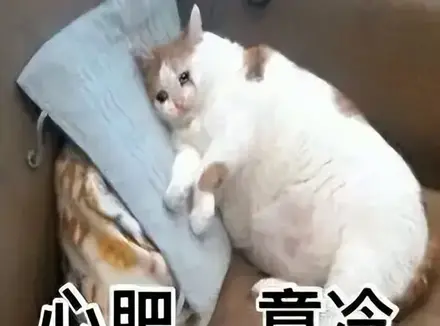 飞机杯是什么？老玩家科普告诉你飞机杯又和真人有什么不同