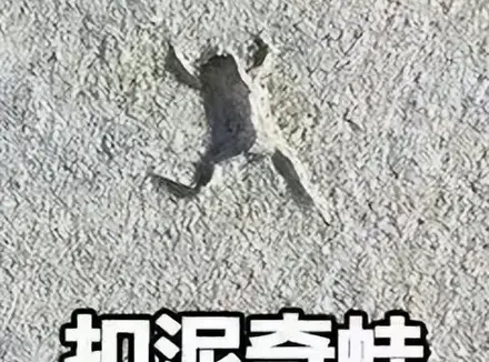 要不要告诉女朋友我买了飞机杯？女朋友知道我买了飞机杯后竟是这反应…