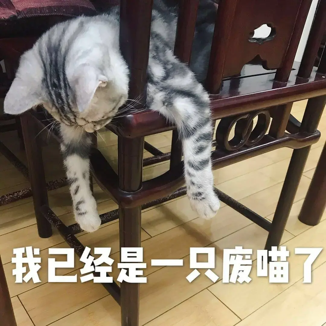时间太短能用飞机杯吗？当秒男遇到了这款YUU软萌酱飞机杯