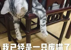 时间太短能用飞机杯吗？当秒男遇到了这款YUU软萌酱飞机杯