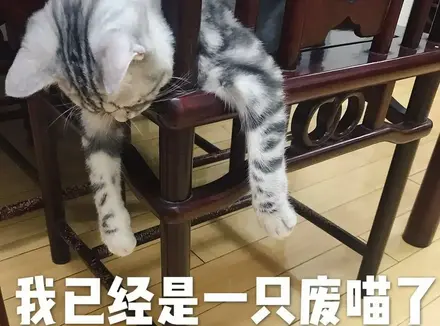 时间太短能用飞机杯吗？当秒男遇到了这款YUU软萌酱飞机杯