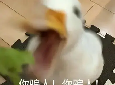 飞机杯居然有这么好吗？使用飞机杯后让我彻底忘记五指姑凉