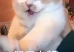 欲望强烈可以用飞机杯吗？女朋友不能满足你的欲望那你需要一款飞机杯