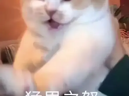 欲望强烈可以用飞机杯吗？女朋友不能满足你的欲望那你需要一款飞机杯