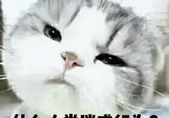 为什么第一次和女朋友发生关系前要使用飞机杯呢？先用飞机杯锻炼经验