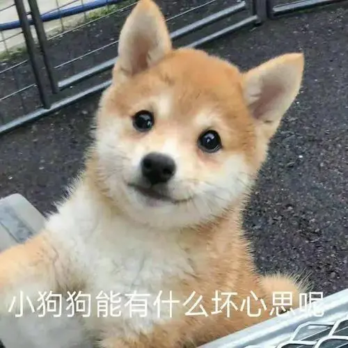 什么才是健康的使用飞机杯？理性科普分享飞机杯的优缺点