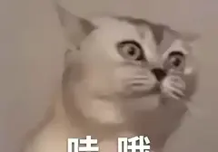 为什么要买飞机杯？老司机解析飞机杯作用以及为什么要买飞机杯的原因