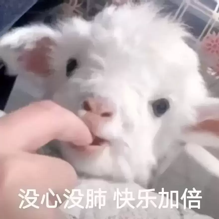 你听说过第一次使用飞机杯吗？分享本人头一次使用飞机杯的羞涩经历