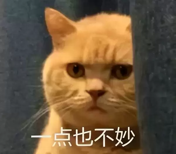 可以送男友飞机杯吗？分享经历给异地恋的男友送了个特别的礼物飞机杯