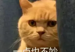 可以送男友飞机杯吗？分享经历给异地恋的男友送了个特别的礼物飞机杯