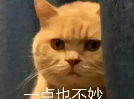 可以送男友飞机杯吗？分享经历给异地恋的男友送了个特别的礼物飞机杯