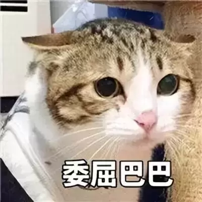 我的女友让我用上了飞机杯？你别不信我的飞机杯是我女朋友送给我的