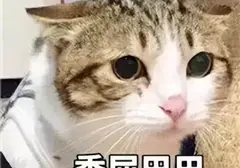 我的女友让我用上了飞机杯？你别不信我的飞机杯是我女朋友送给我的