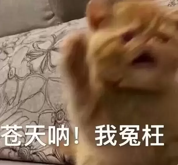 第一次使用飞机杯就操作不当？科普分享第一次使用飞机杯的注意事项