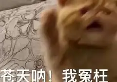 第一次使用飞机杯就操作不当？科普分享第一次使用飞机杯的注意事项