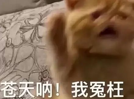 第一次使用飞机杯就操作不当？科普分享第一次使用飞机杯的注意事项