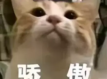 飞机杯跟手比究竟有什么不同？告诉你为什么我会选择使用飞机杯而不是手冲