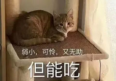 秒男可以用飞机杯锻炼吗？使用飞机杯后从秒男到持久战斗我经历了什么