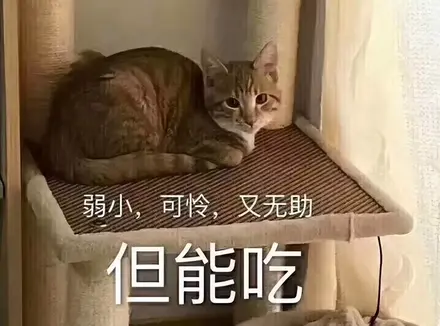 秒男可以用飞机杯锻炼吗？使用飞机杯后从秒男到持久战斗我经历了什么