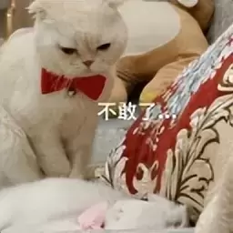 避免沉迷用手就用飞机杯？单身狗只用一次飞机杯就再也离不开它