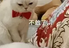 避免沉迷用手就用飞机杯？单身狗只用一次飞机杯就再也离不开它
