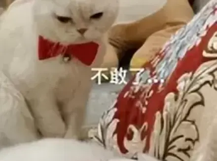 避免沉迷用手就用飞机杯？单身狗只用一次飞机杯就再也离不开它