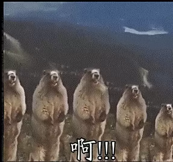 有女友的情况下还买个飞机杯？差点以为女友要因为飞机杯跟我分手没想到