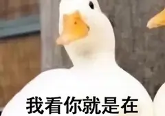 飞机杯到底有没有必要购买？我的回答是会后悔为什么没有早点买飞机杯