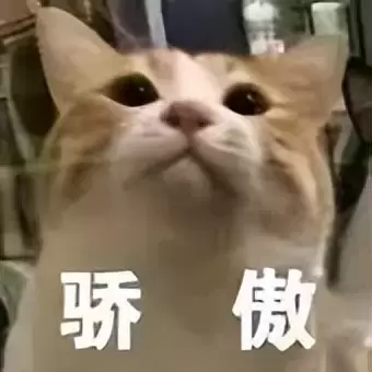 为什么我会选择使用飞机杯而不是手冲呢？老司机科普飞机杯跟手的不同