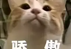 为什么我会选择使用飞机杯而不是手冲呢？老司机科普飞机杯跟手的不同