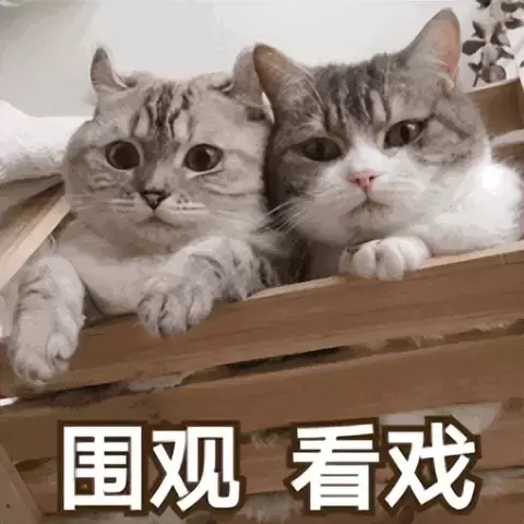 约炮危害身体健康还不如使用飞机杯？现在的飞机杯都是模拟真人通道的