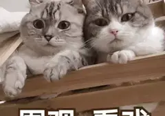 约炮危害身体健康还不如使用飞机杯？现在的飞机杯都是模拟真人通道的