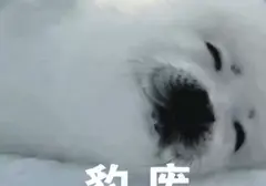 七夕没有女友试试和飞机杯过？使用五指姑凉只有坏处没有好处