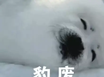 七夕没有女友试试和飞机杯过？使用五指姑凉只有坏处没有好处