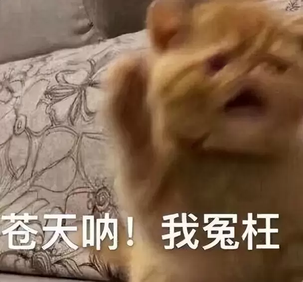大学吃土学生党如何选择飞机杯？考虑到高性价比推荐选择这款飞机杯