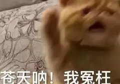 大学吃土学生党如何选择飞机杯？考虑到高性价比推荐选择这款飞机杯