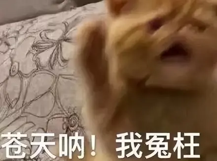 大学吃土学生党如何选择飞机杯？考虑到高性价比推荐选择这款飞机杯