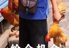 飞机杯的价值居然有这么高吗？飞机杯的出现极大的满足男性朋友的生理需求