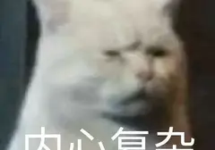 飞机杯和真实环境哪个体验更好？老司机谈谈飞机杯和实战之间的差距