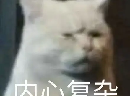 飞机杯和真实环境哪个体验更好？老司机谈谈飞机杯和实战之间的差距