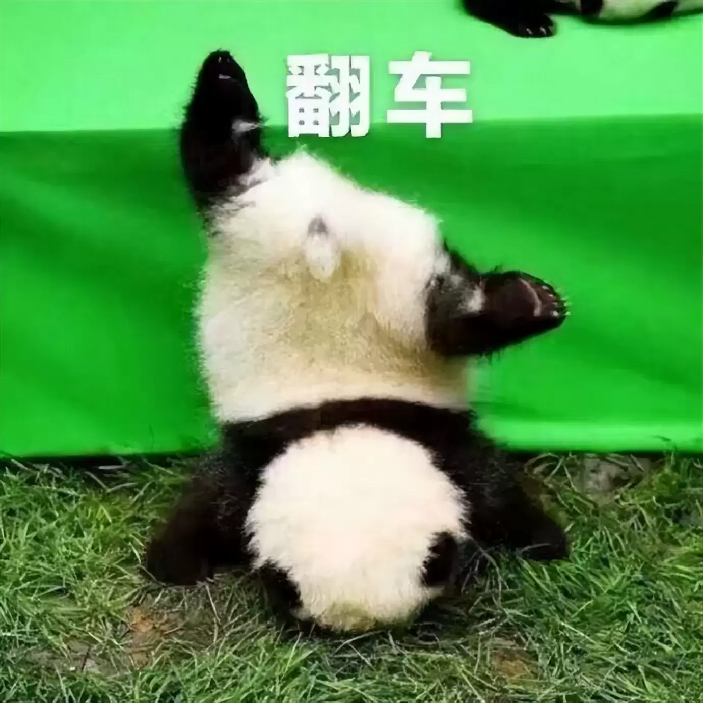选择飞机杯怎么才能避坑不踩雷？杯龄5年老司机浅谈玩飞机杯这些年的感受